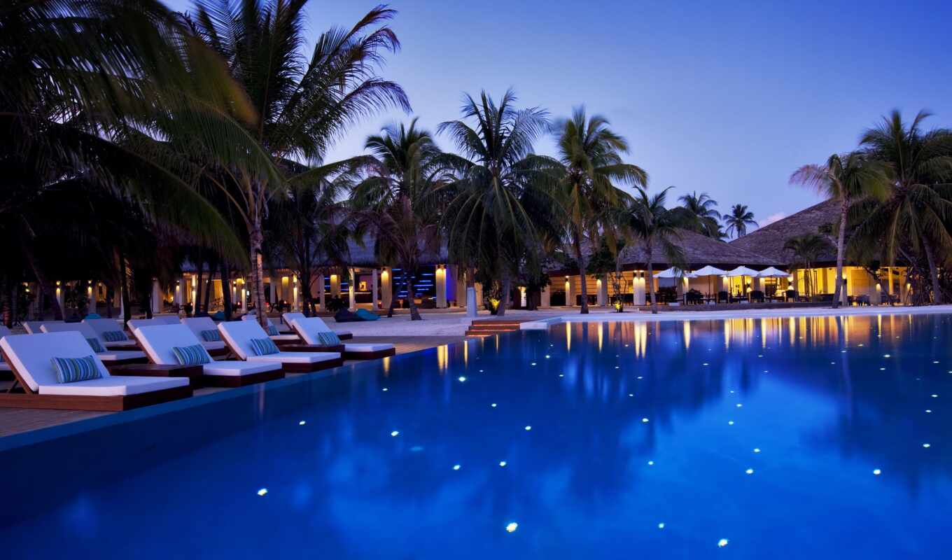 nature, evening, hotel, palm trees, swimming pool, ocean, maldives, velassaru, deck chairs