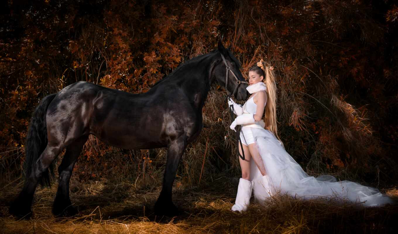 лошадь, russian, foto, gratis, fotografie, stallion, pexel