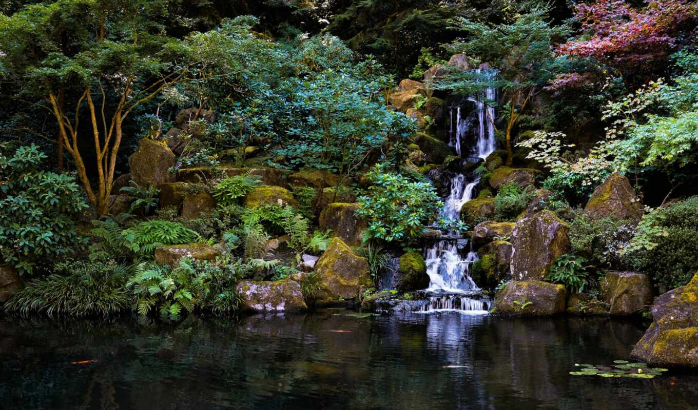japanese, garden, пруд, водопад, trees, камни