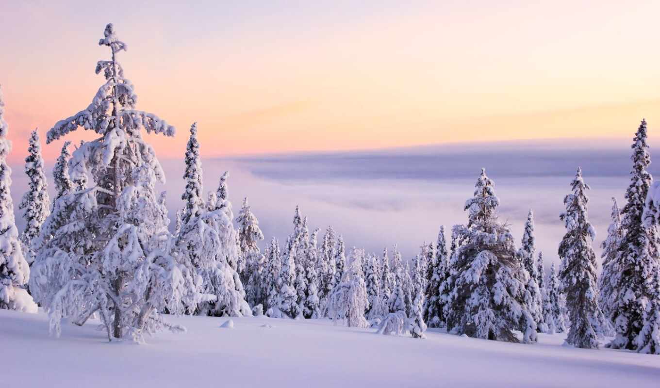 landscapes-, sunset, beautiful, winter, landscape, trees, winter, mountains, landscape