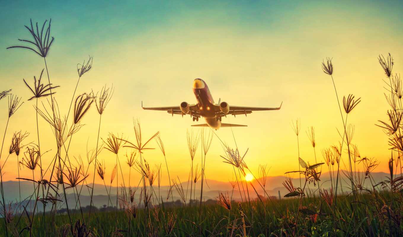 sky, picture, grass, sunset, sunrise, takeoff, passenger, plane