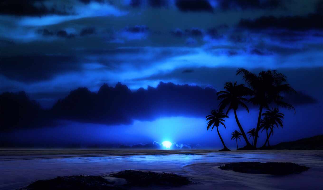 небо, blue, фон, ночь, луна, пляж, море, облако, palm, tropic