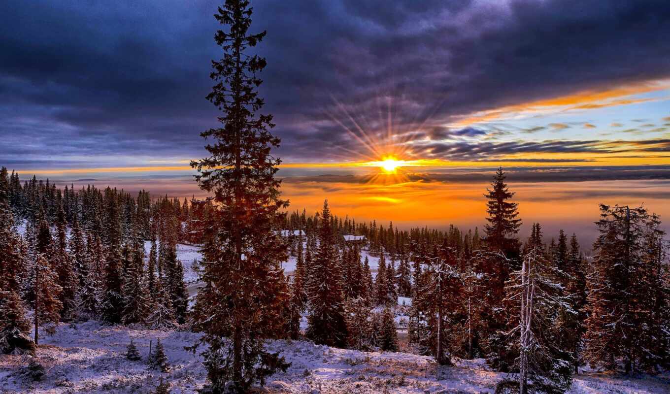 sunset, winter, forest, norwegian