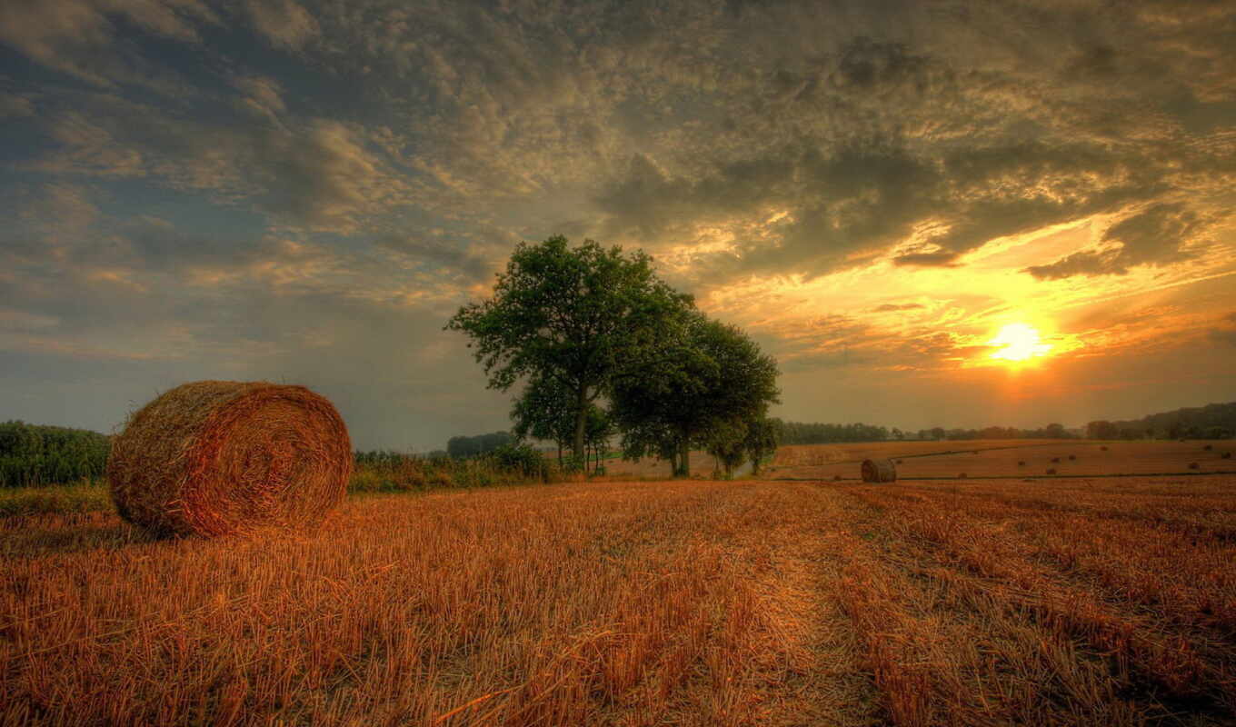 nature, field, log in, reach out, hay, our, alcatel, register, fraggie
