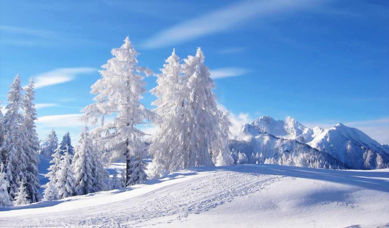 снег, winter, лес, год, time, день, холод, поляна, морозный, komotoz