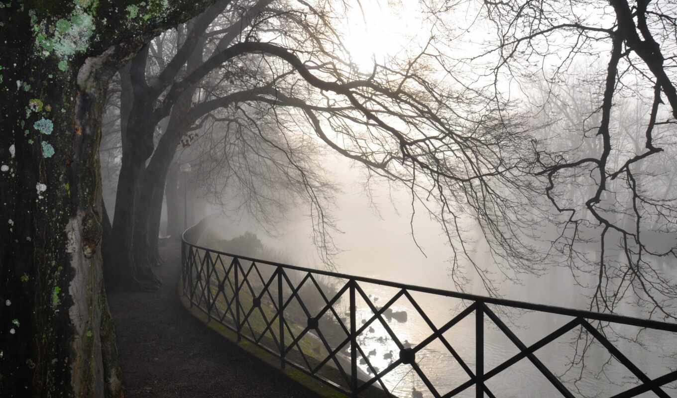 река, туман