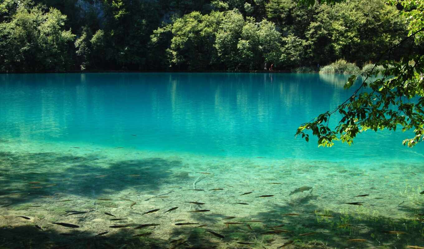 lake, nature, tree, water, park, waterfall, national, Croatia, rare, plitvice