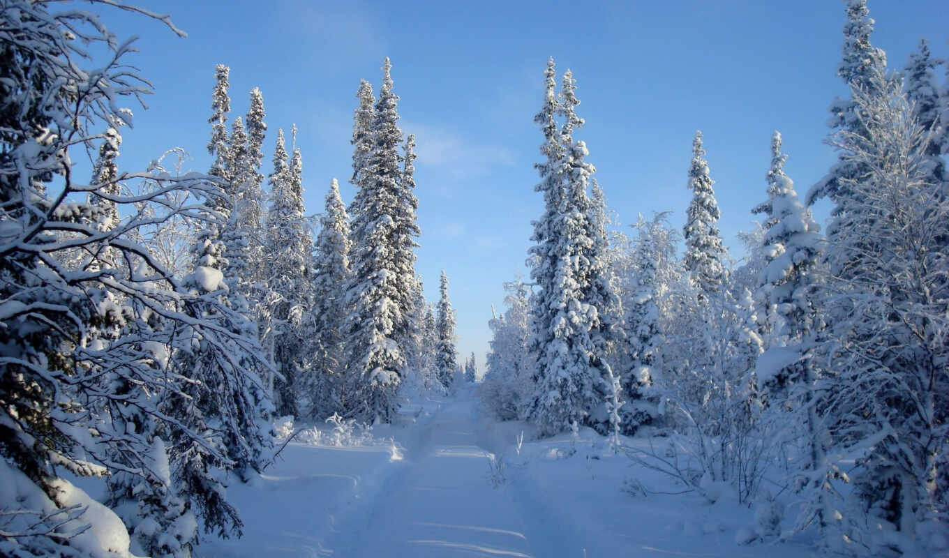 природа, пейзажи -, снег, красивые, winter, landscape, фотографий, trees, зимние, сугробы