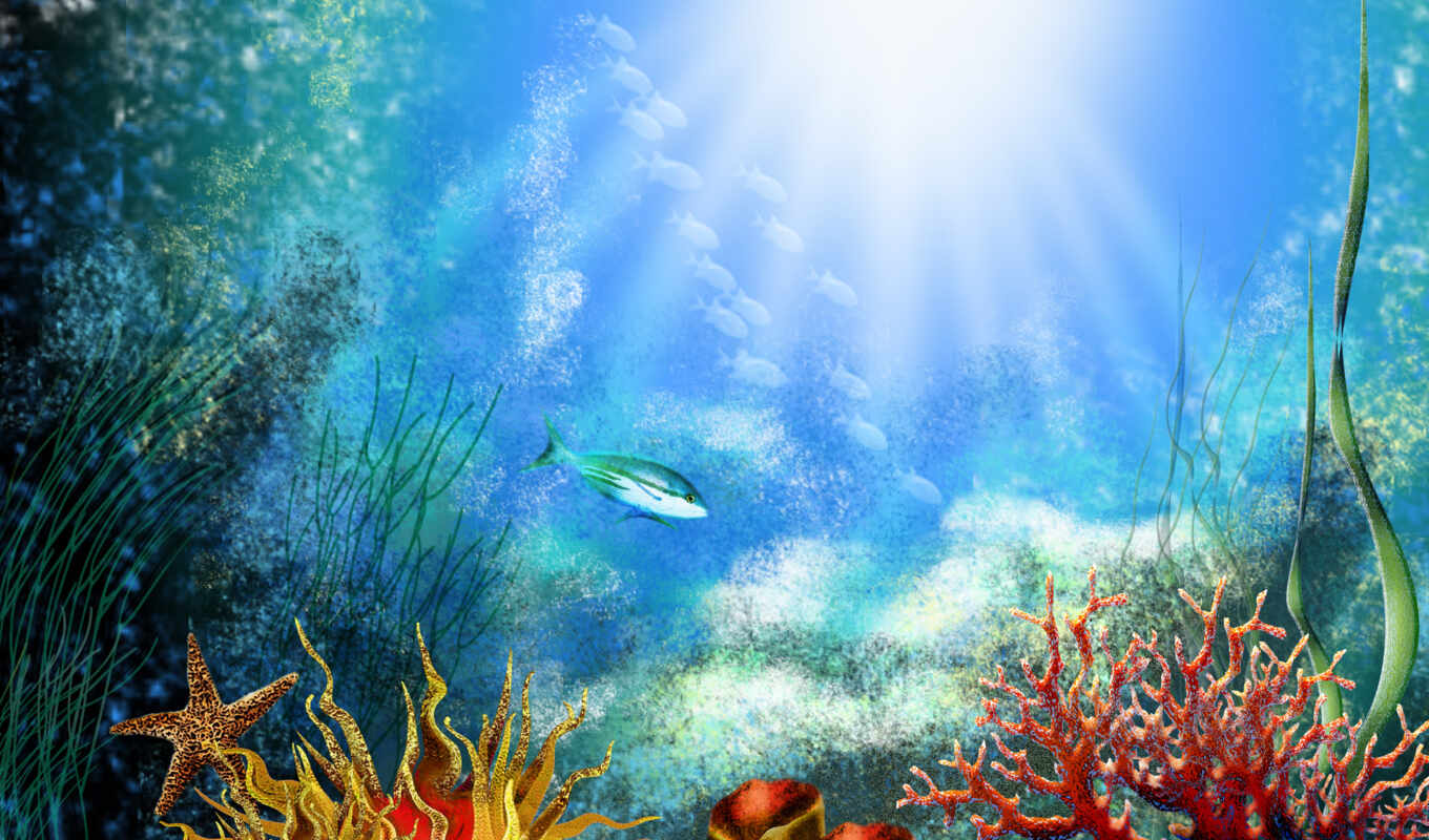water, под, world, fish, underwater, coral, vodorosl