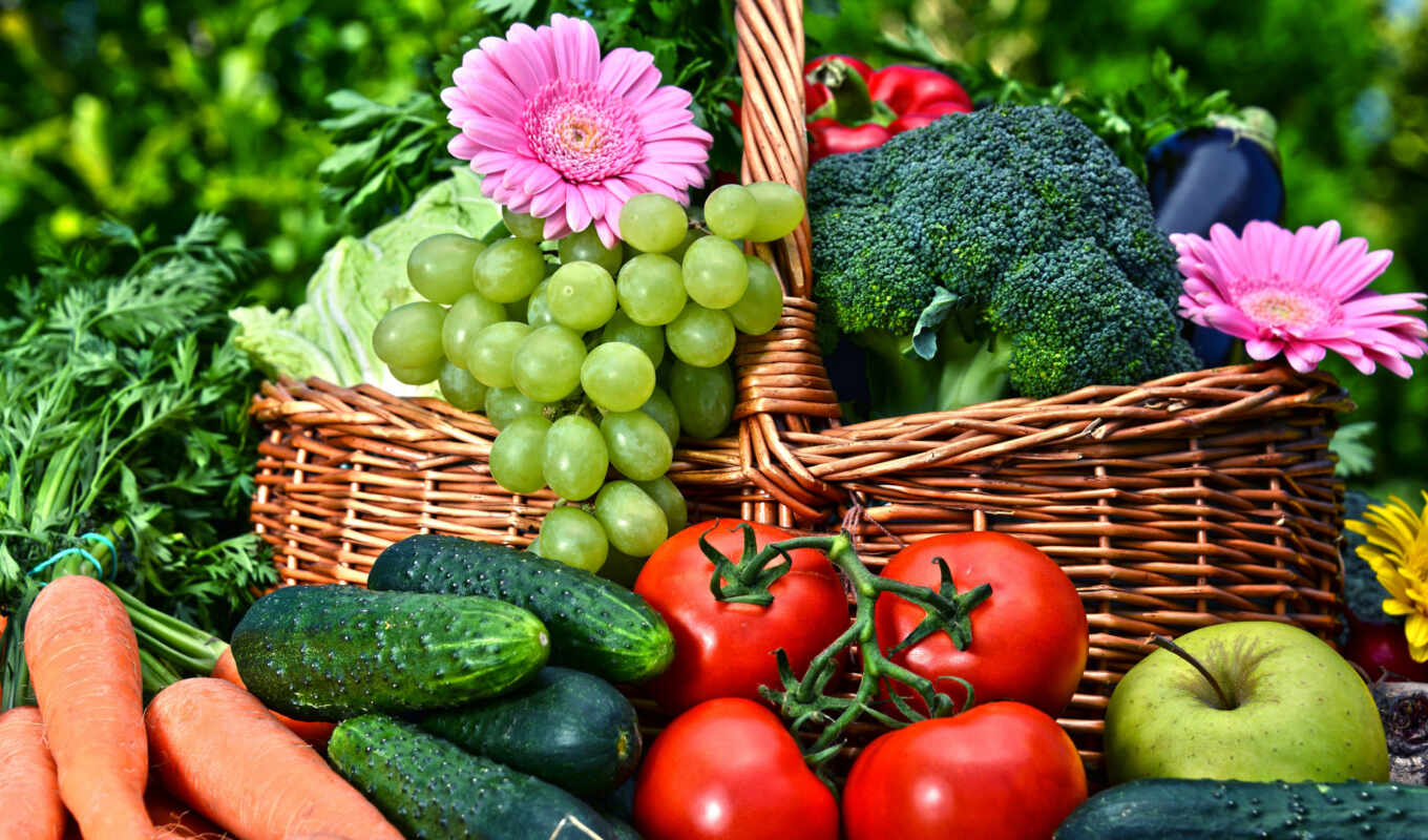ukraine, виноград, organic, растительный, морковь, капуста, master, tomato, удобрение, пупер, enya