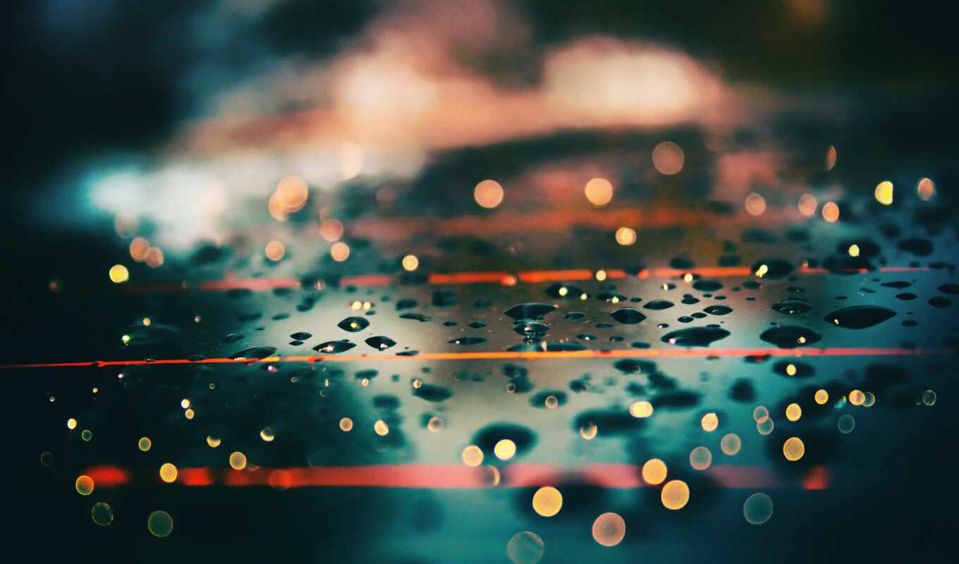 photo, drop, background, rain, water, gallery, blurring, raindrop, rare, daylight