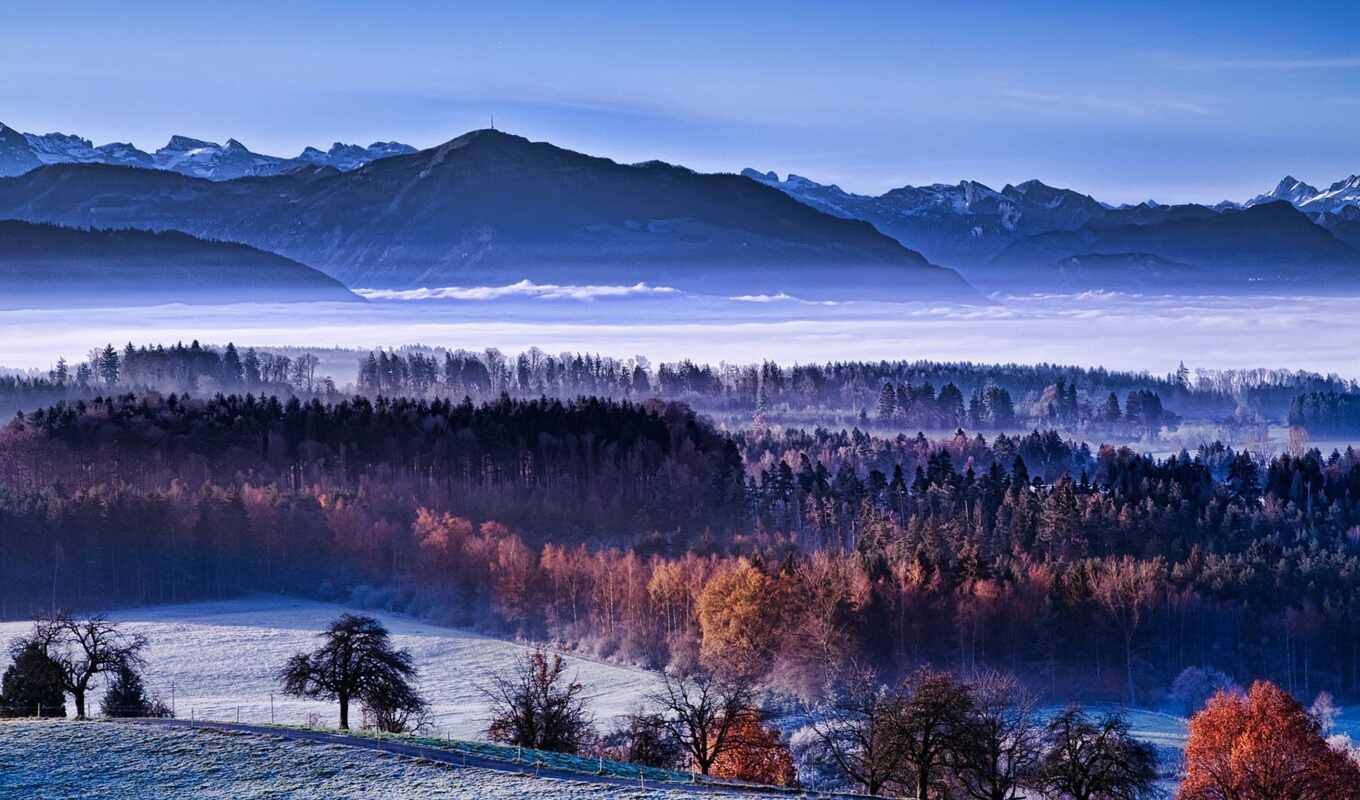 winter, mountain, morning, fog