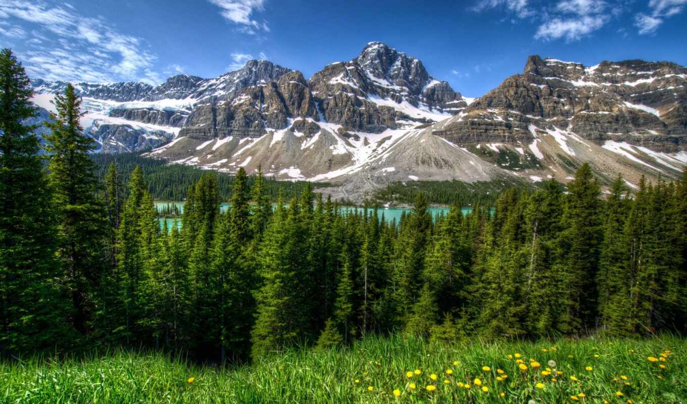 озеро, природа, лес, landscape, park, national, banff, канадский, горы