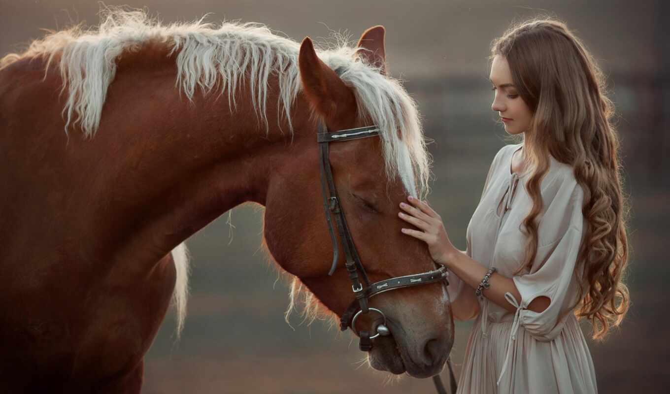 girl, photographer, horse, blonde, source, to find, anne, streak, warm, mills