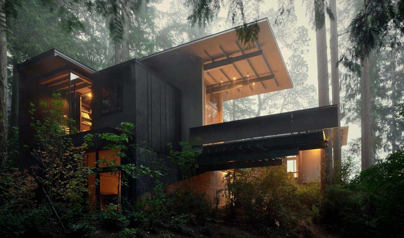 house, forest, architectural, architect