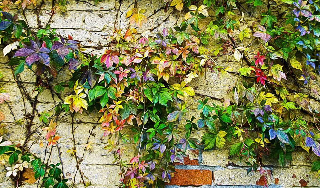 стена, house, лист, виноград