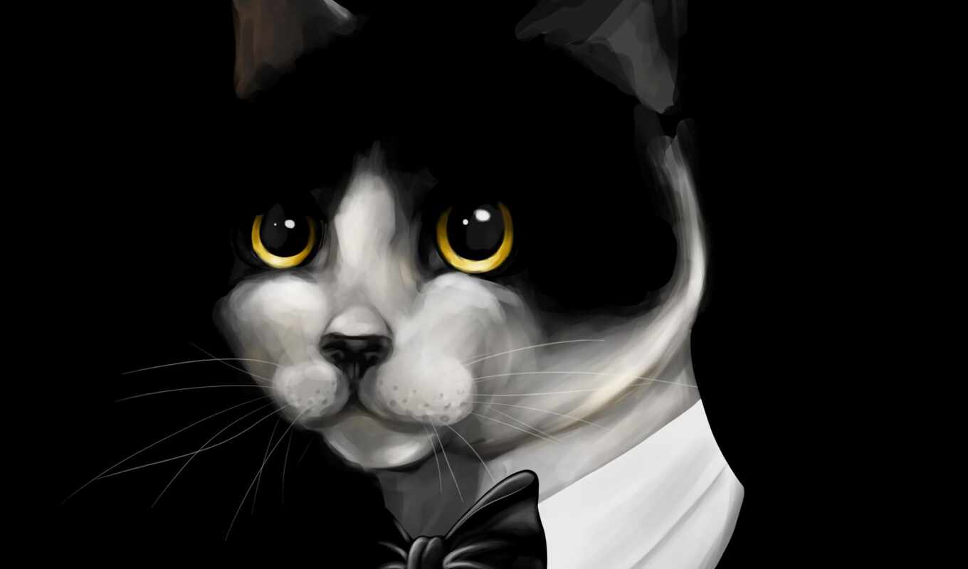 a laptop, cat, tablet, beautiful, artwork, suit, tuxedo