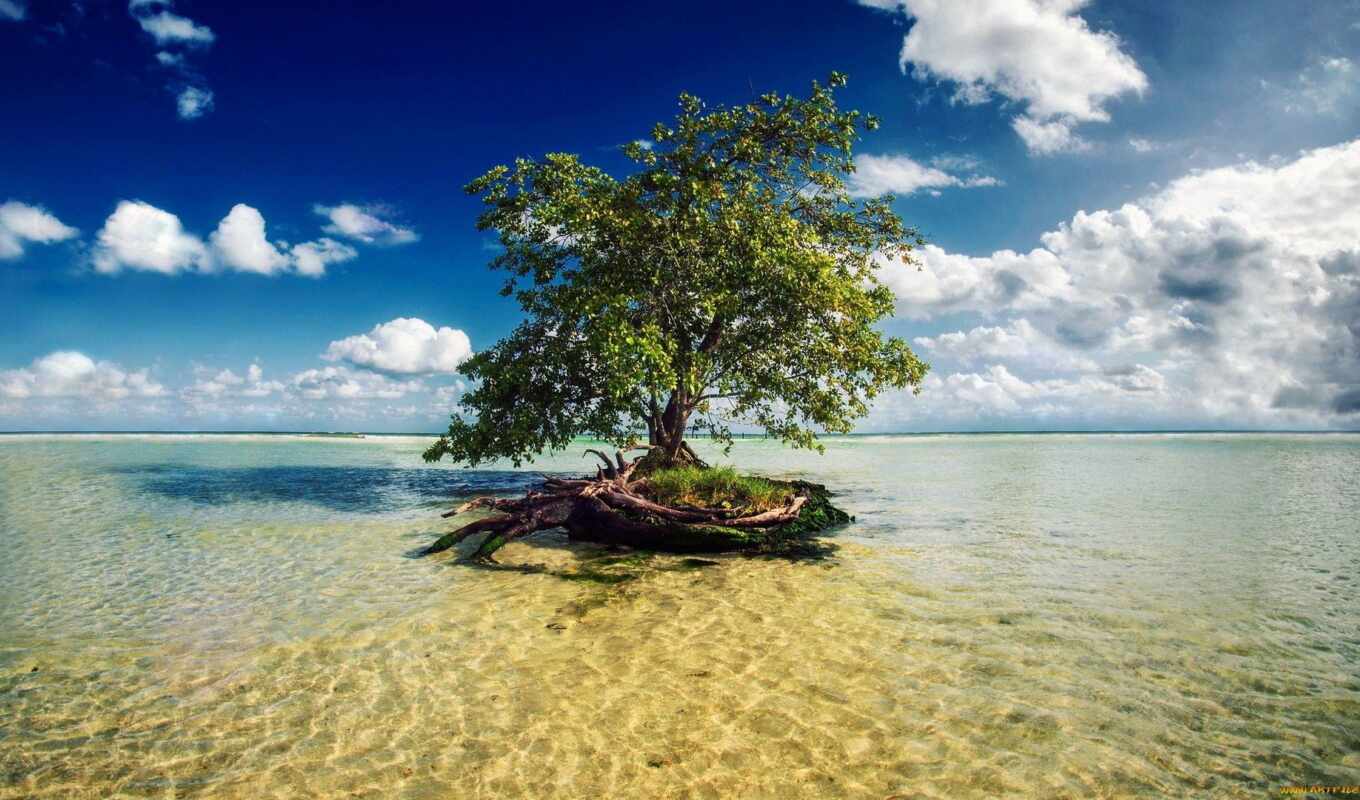 nature, sky, tree, water, landscape, sea, island, mexico, riviera, mayan, mangroves