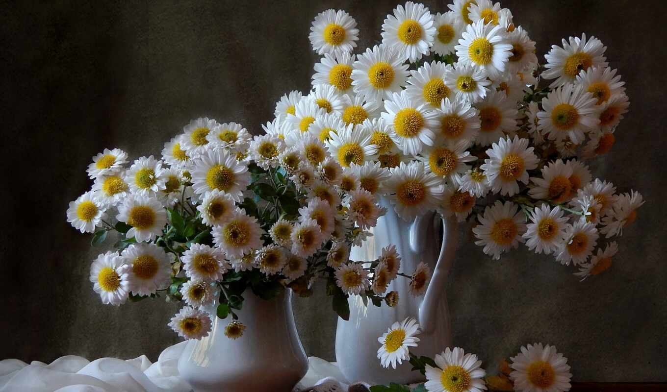 цветы, white, краска, focus, daisy, букет, ваза, ромашка, песнь