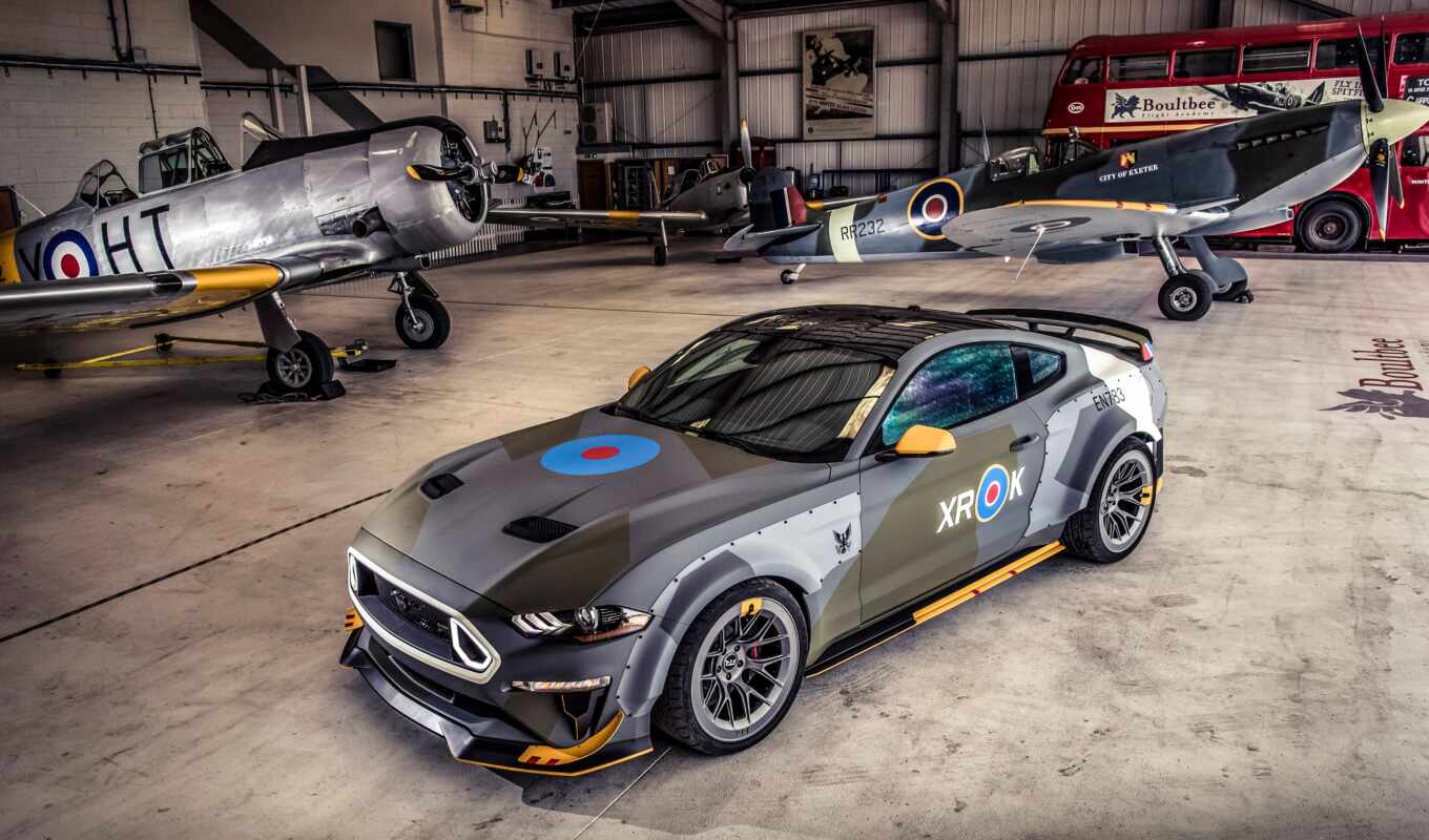 to do, style, the fighter, ford, mustang, american, coach, honor, squadrons, coloring, livery