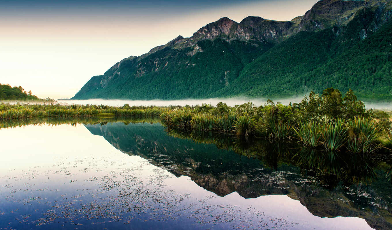 lake, nature, new, forest, mountain, zealand, fog, reflection, tag, give, uprising