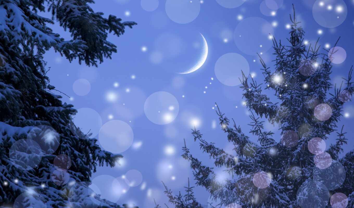 sky, tree, night, moon, snow, winter, month