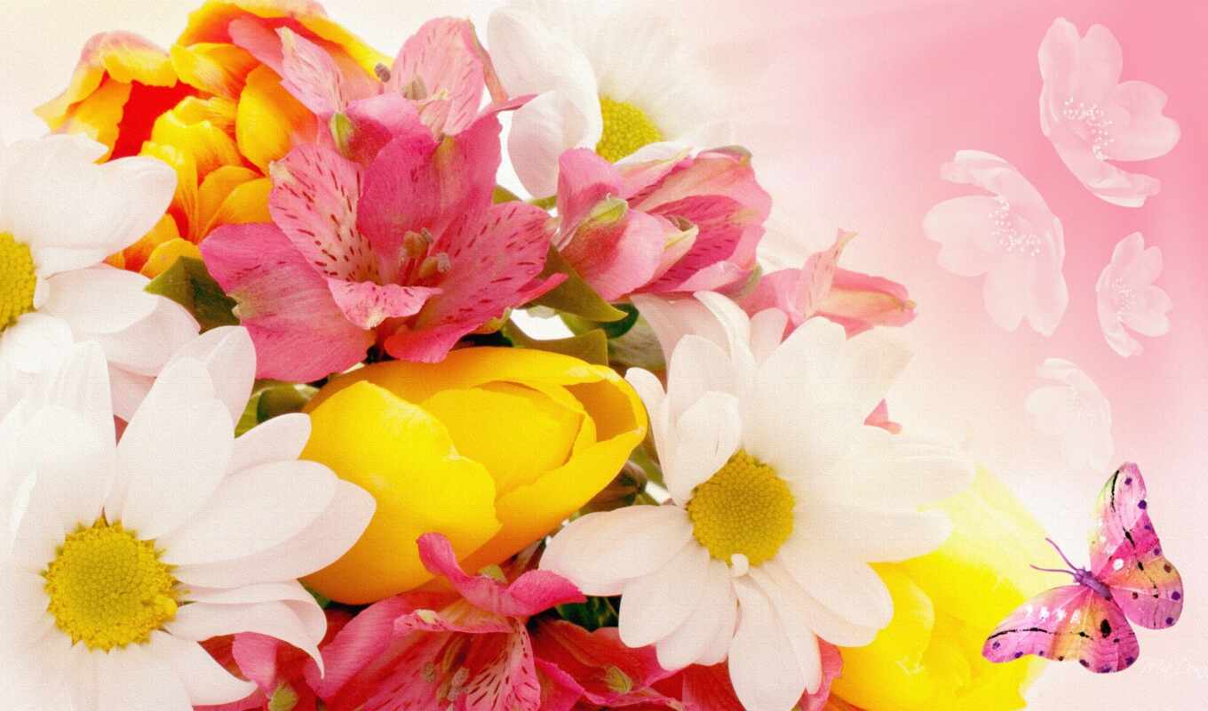 цветы, бабочка, розовый, daisy, lily, тюльпан