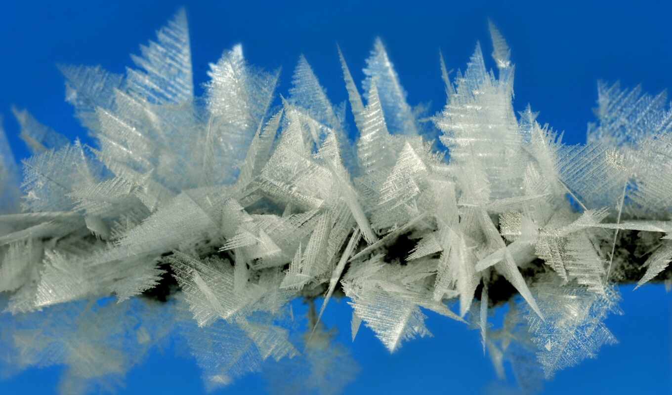 ice, frost, snow, winter, mountain, crystal, branch