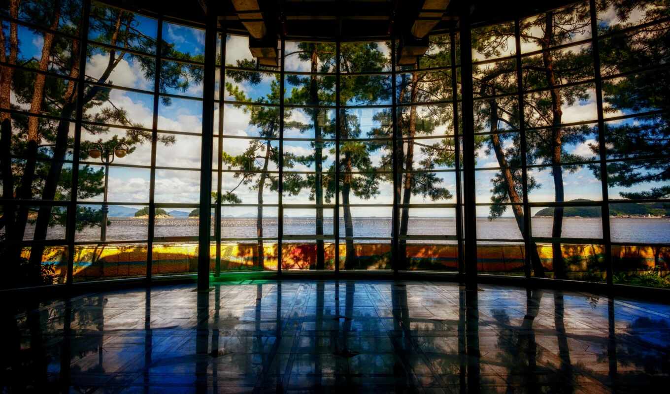 window, tree, hotel, korea, south, museum, yosu