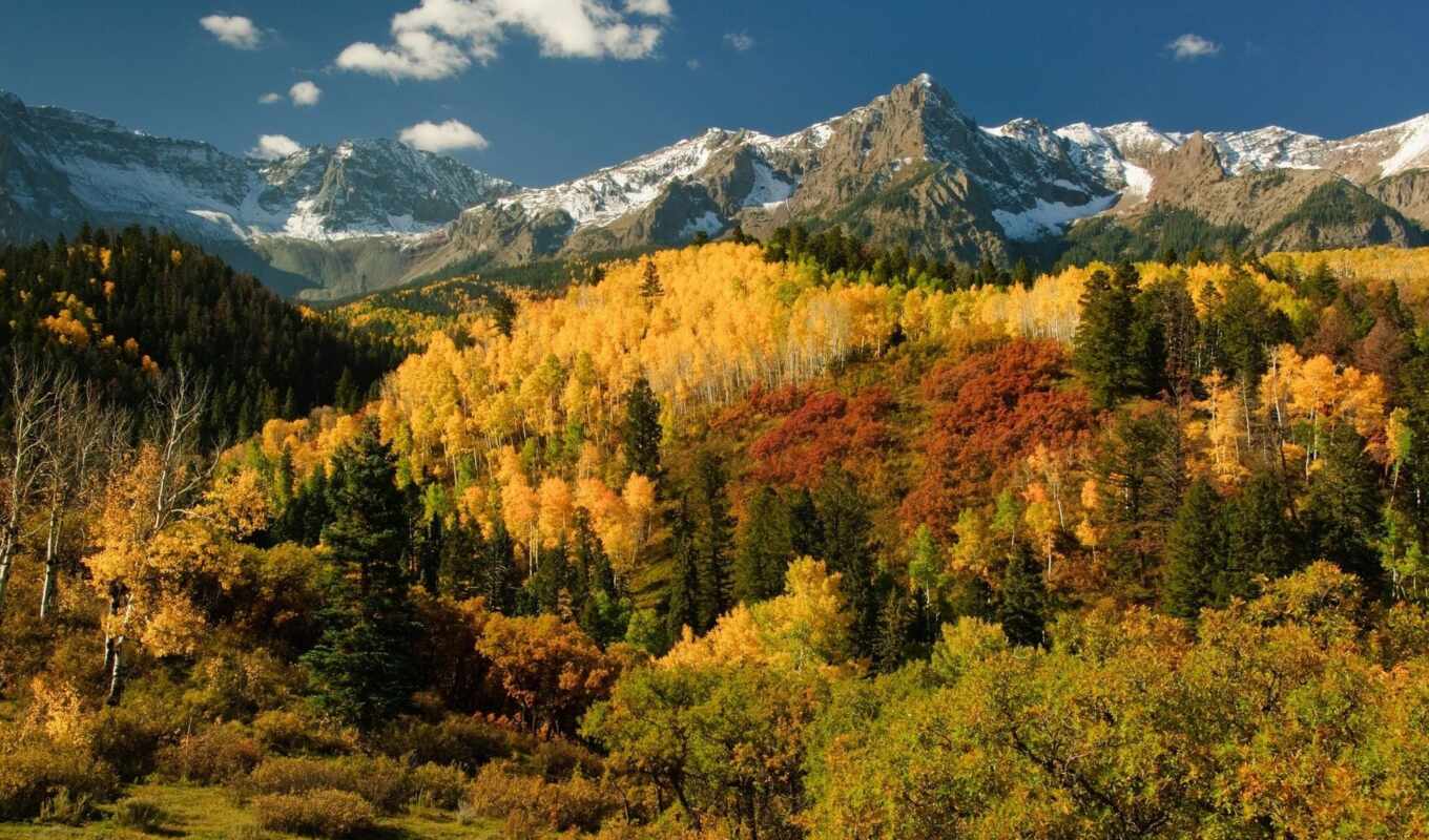 природа, широкоформатные, картинка, online, лес, san, осень, trees, mountains, juan, горы