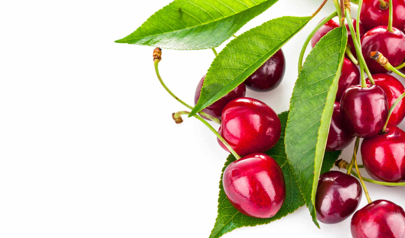 cherry, листва, medium, фрукты, ягоды, ценю, p