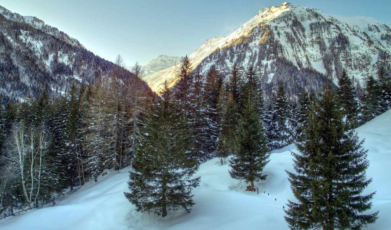 природа, небо, изображение, трава, winter, landscape, австрия, trees, альпы