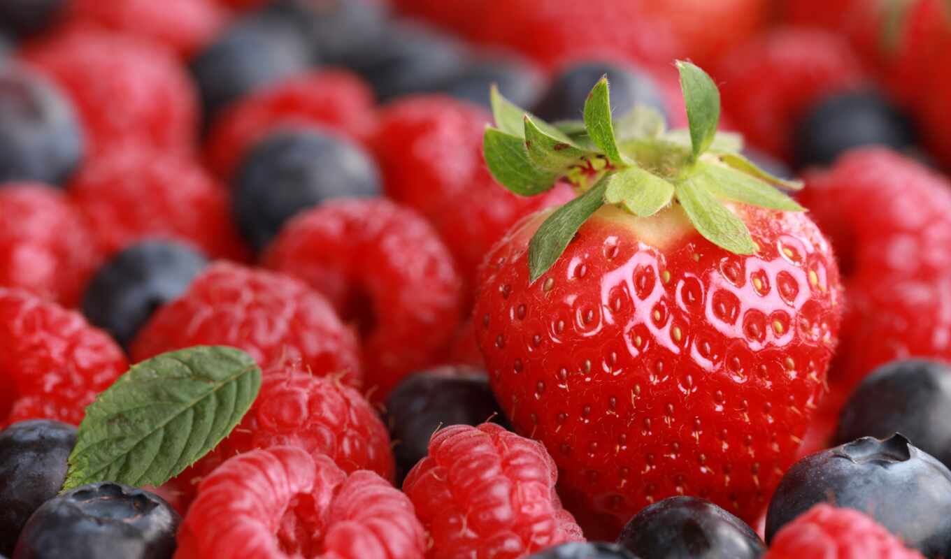 fetus, strawberry, blueberries, berries, volgograd
