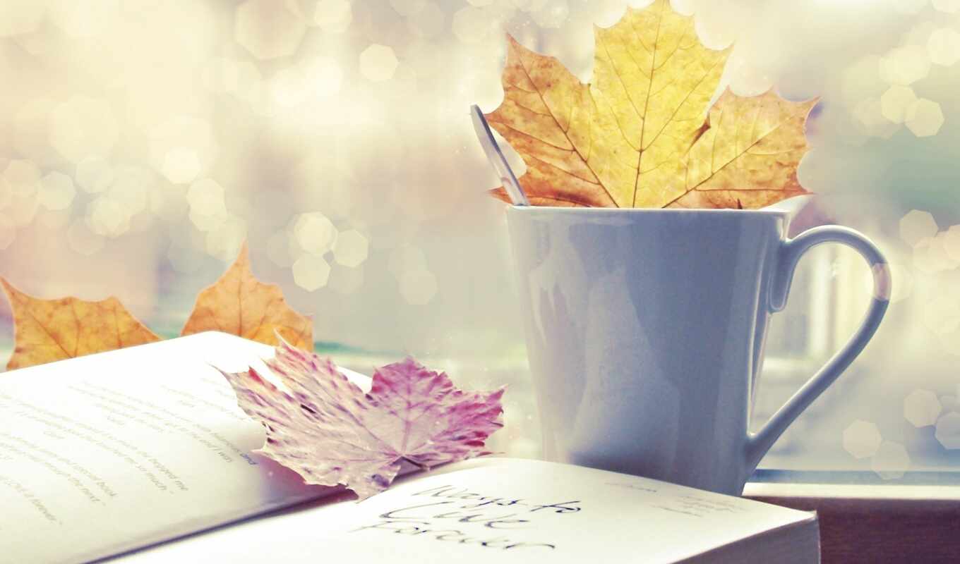 лист, книга, осень, cup, красивый, настроение