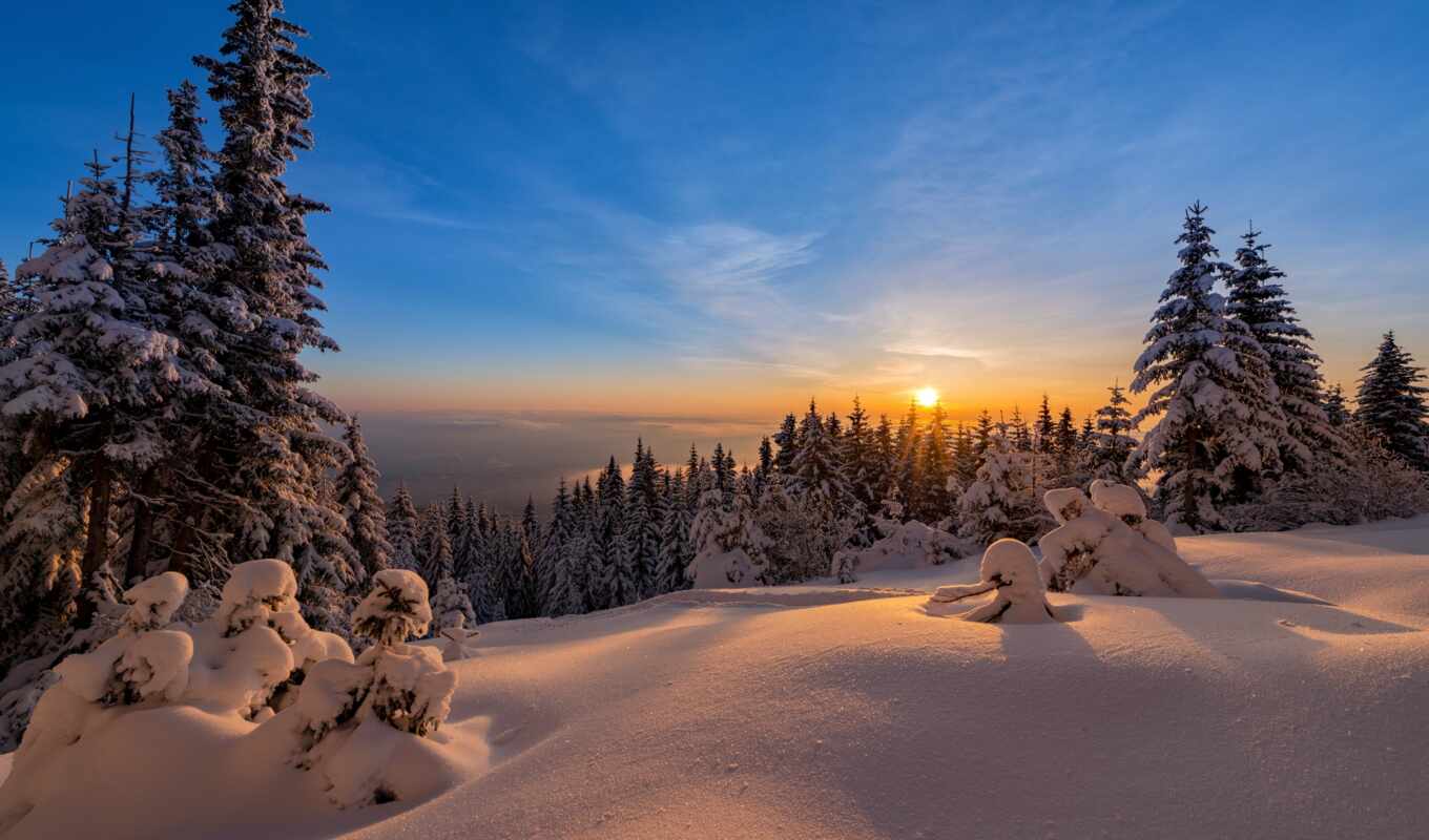 nature, sky, sun, snow, sunrise, winter, forest, mountain, trees, fog, ray