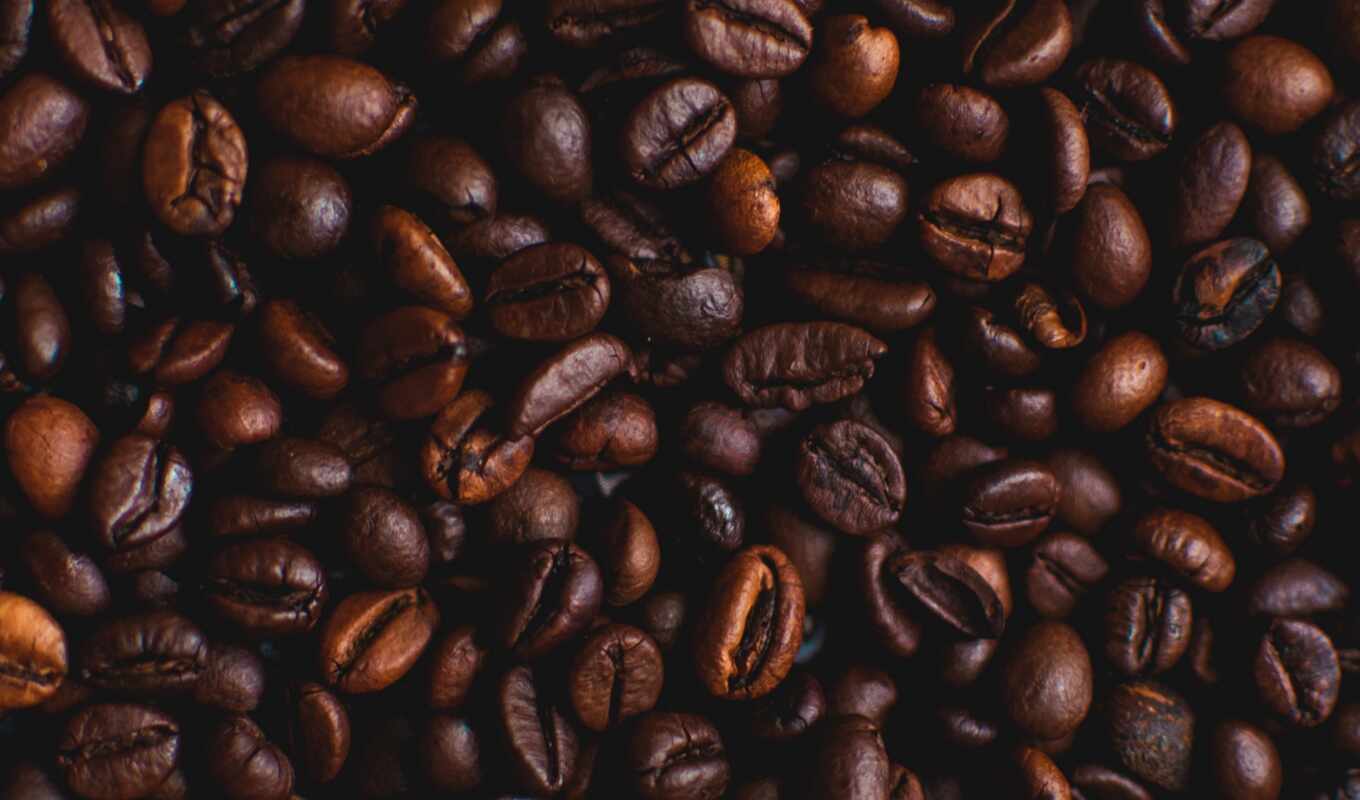 coffee, bean