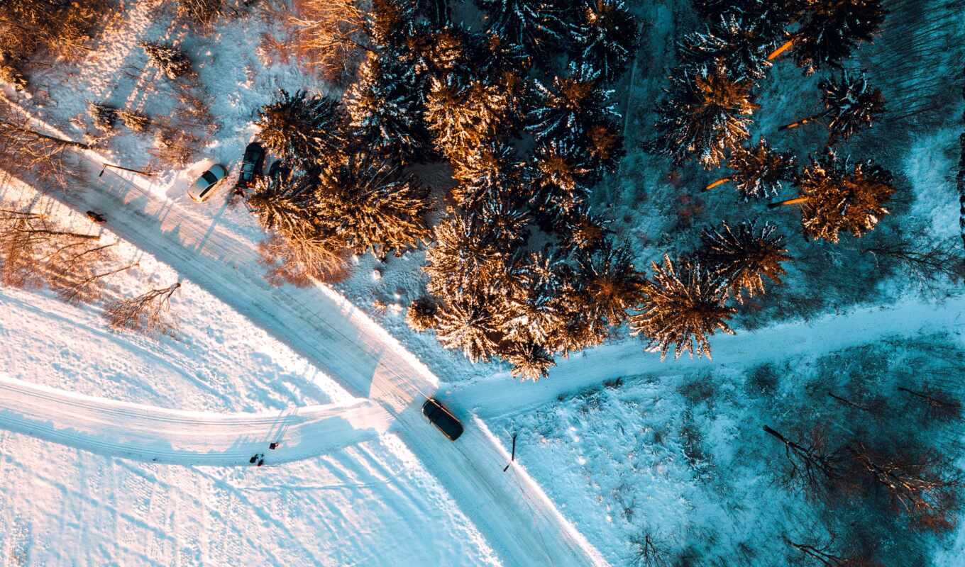 фото, взгляд, audio, снег, лес, photography, trees, aerial, covered