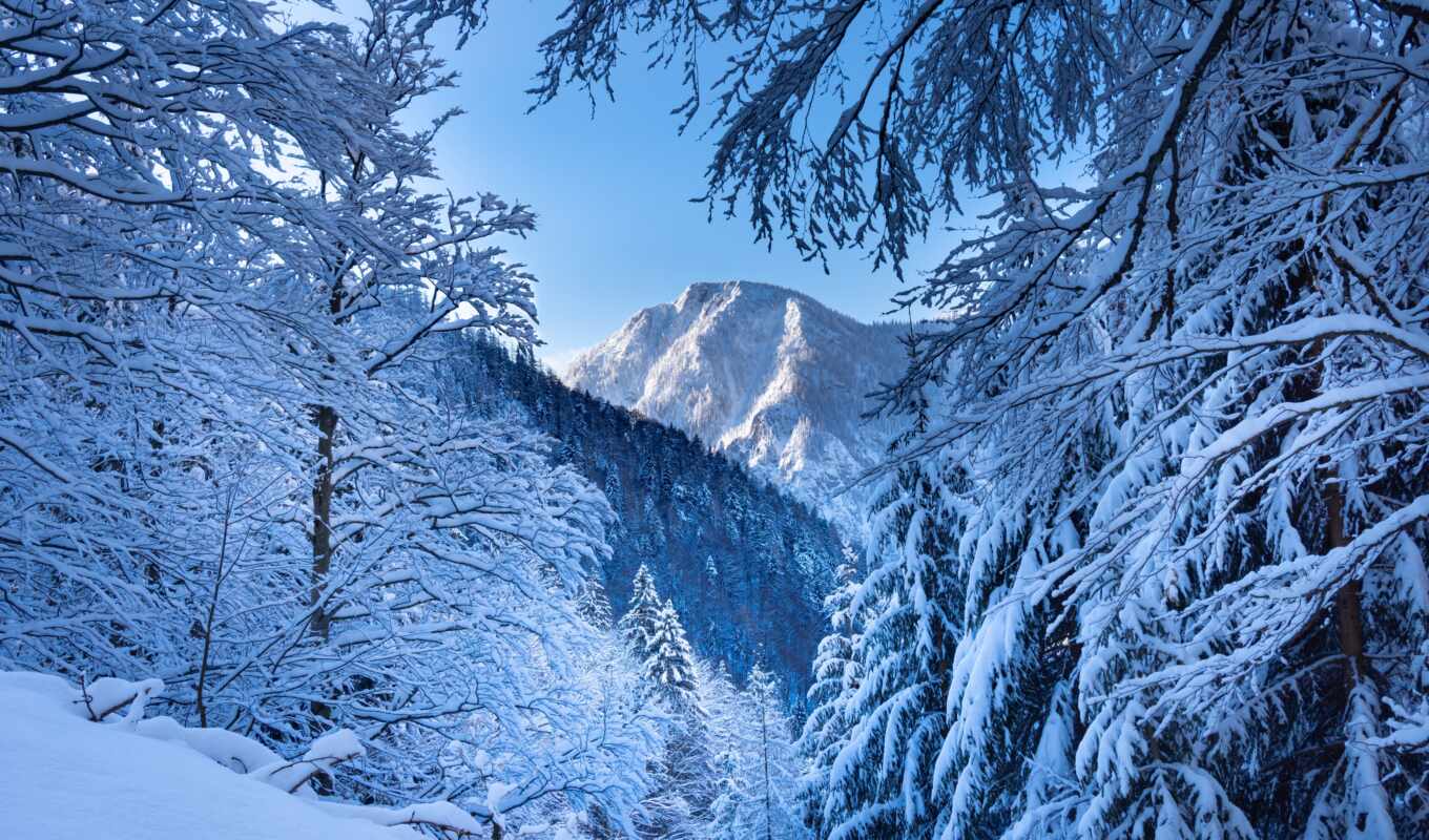 альпы, гора, австрия, ноутбук, озеро, природа