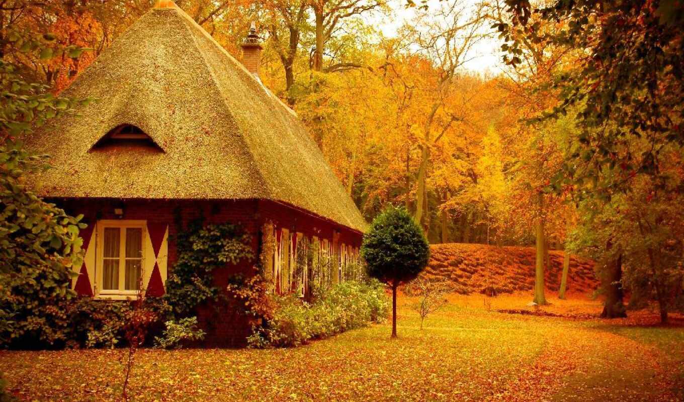 Природа дом осень без смс