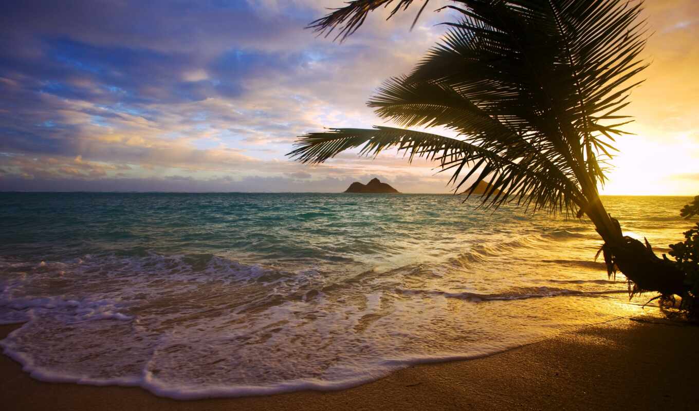 остров, hawaii, spiaggia, трамонто, рейтинг, красивый, пляж, фотосьемка, tripadvisor, miro, vinilovy i
