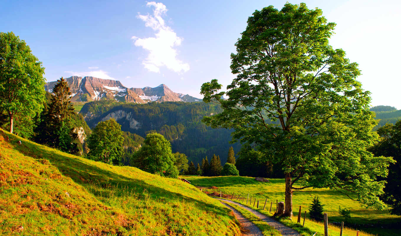 desktop, summer, road, mountains, Switzerland, the alps