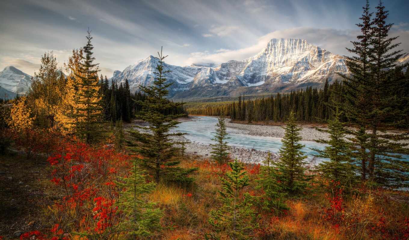 лес, гора, landscape, живопись, канада, осень, line, fore, broadleaf