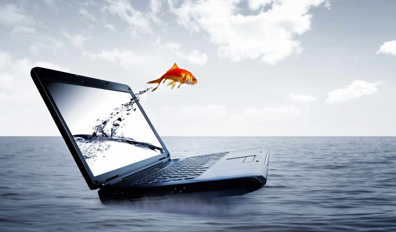 a laptop, water, jump, fish
