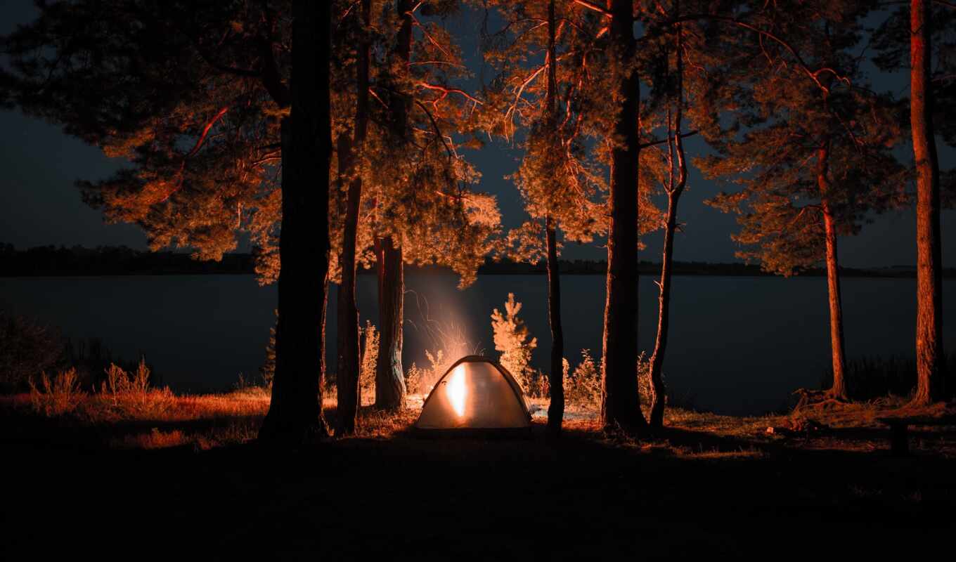 nature, night, forest, fire, tents, camping, kostryi