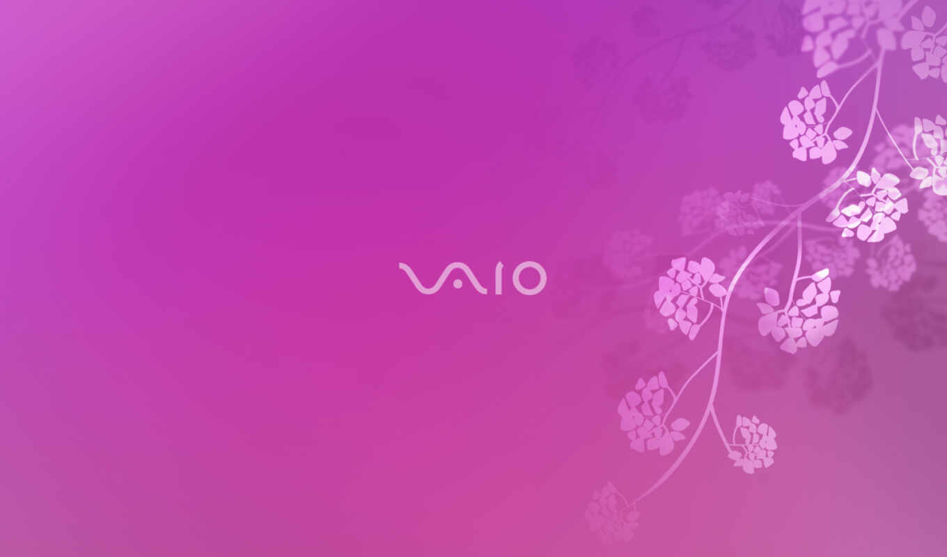 fone, sony, screensavers, pink, pink, phone number, tablet, vaio