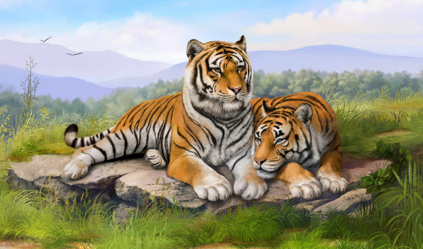 picture, online, tiger, tigers, the cub, the wall, puzzle, order, photo wallpapers, numbers