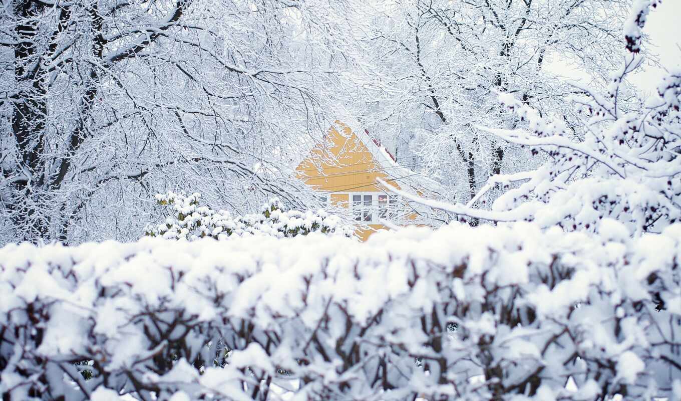 house, фон, дерево, снег, winter, пост, автор, title, норвегия, detail, oslo