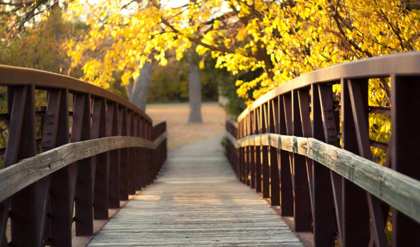 Bridge, by, autumn, fantasy, screen, flash, wood, bridge, high - quality, shirokoformatnyi, im genes