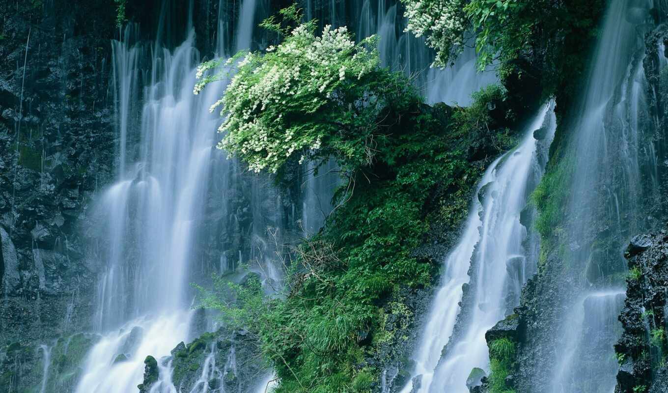 japanese, waterfall, krot
