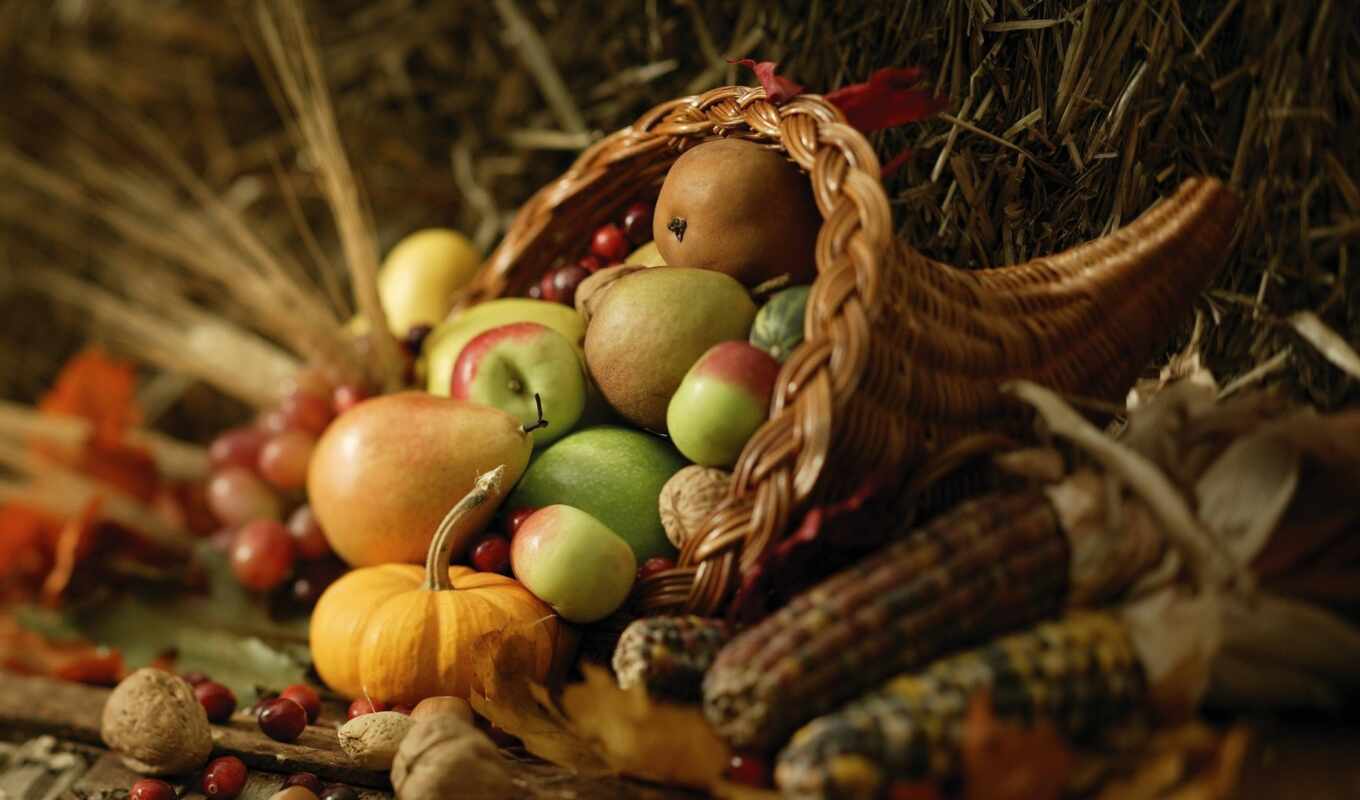 meal, apple, autumn, pumpkin, harvest, wheat, corn, Cornucopia